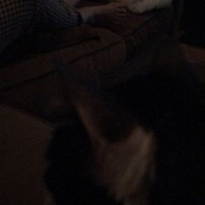 Meet your Posher, Steve